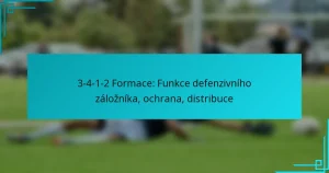3-4-1-2 Formace: Funkce defenzivního záložníka, ochrana, distribuce