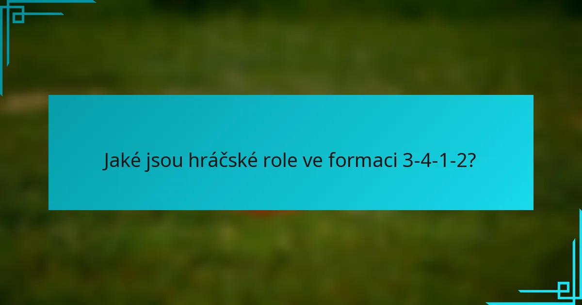 Jaké jsou hráčské role ve formaci 3-4-1-2?